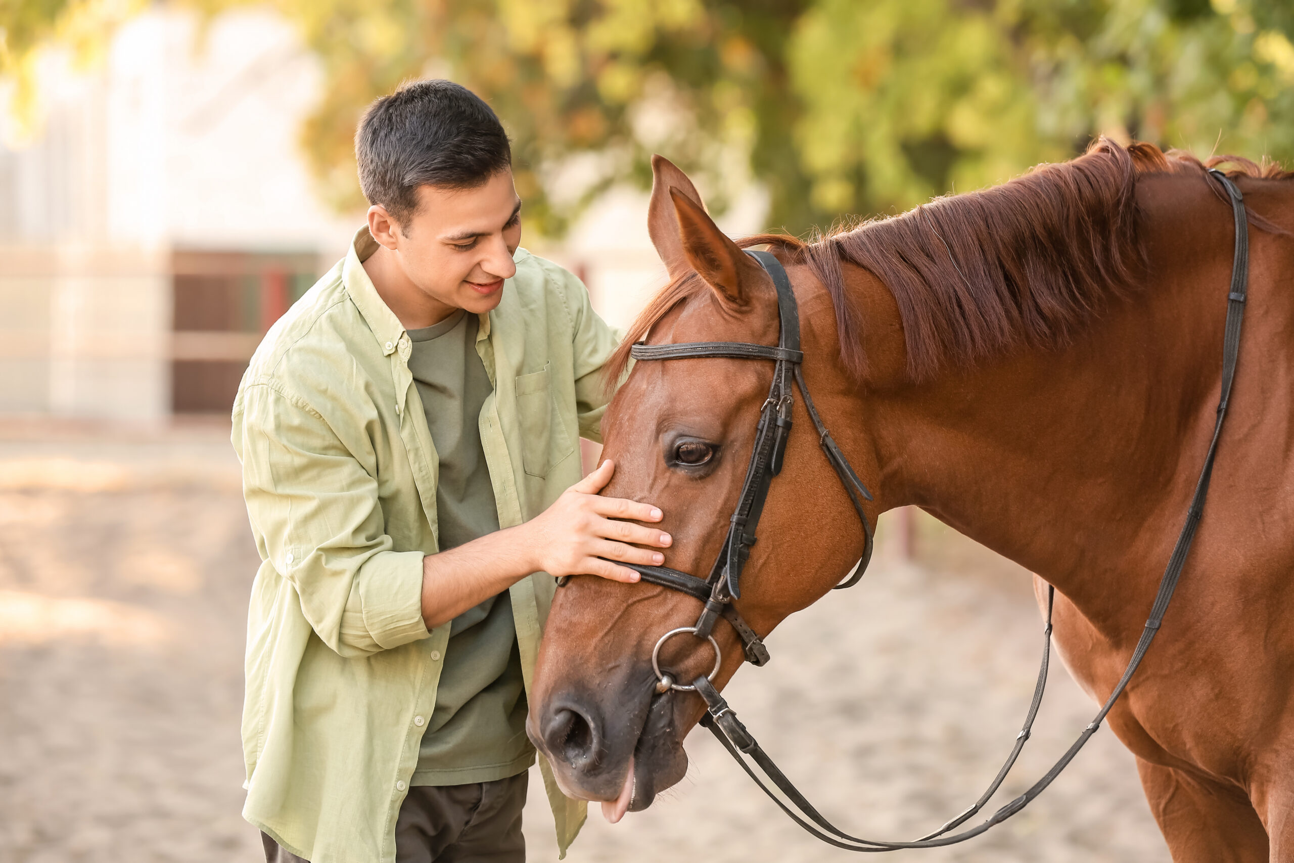 equine therapy in California