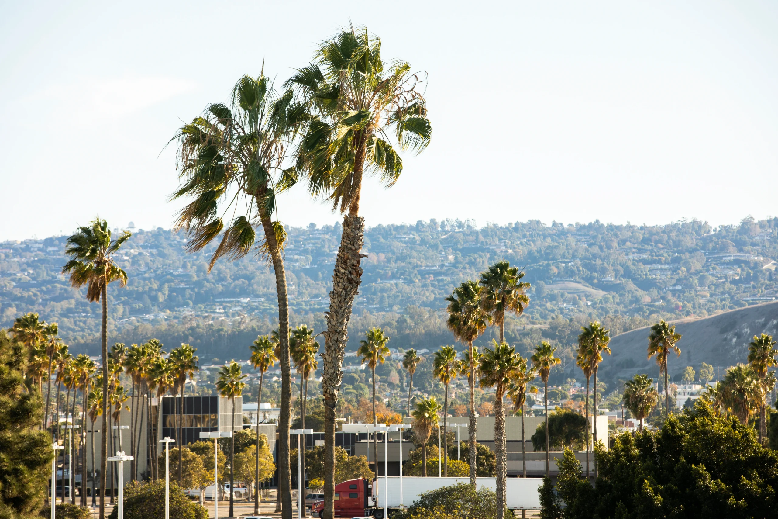 addiction rehab near torrance